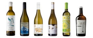 Zestaw Sauvignon Blanc- letnie orzeźwienie
