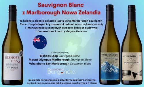 NZsauvignon.jpg