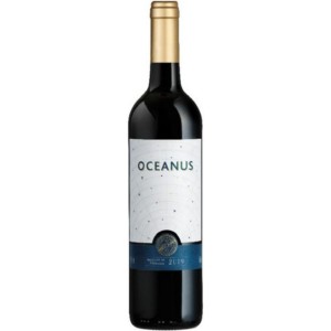 Fiuza Oceanus 2023