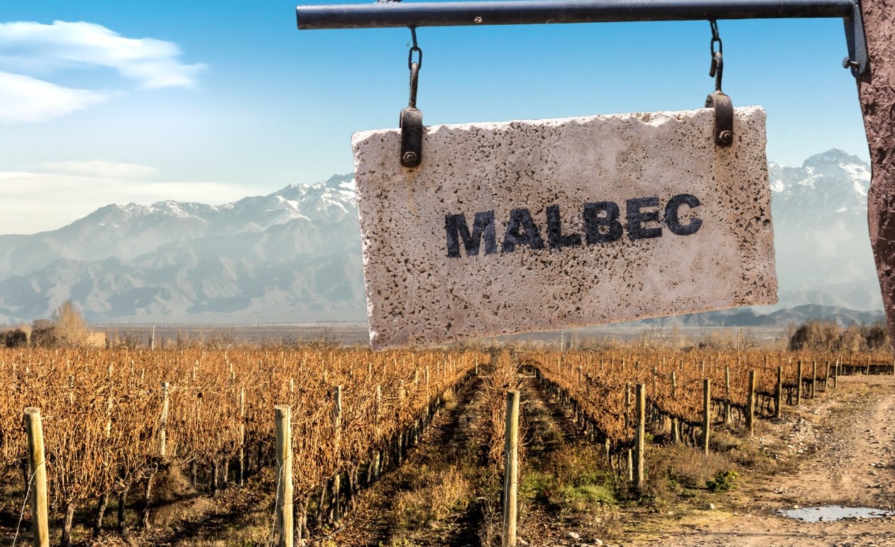 Poznajemy Malbec'a