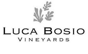 Luca Bosio Vineyards